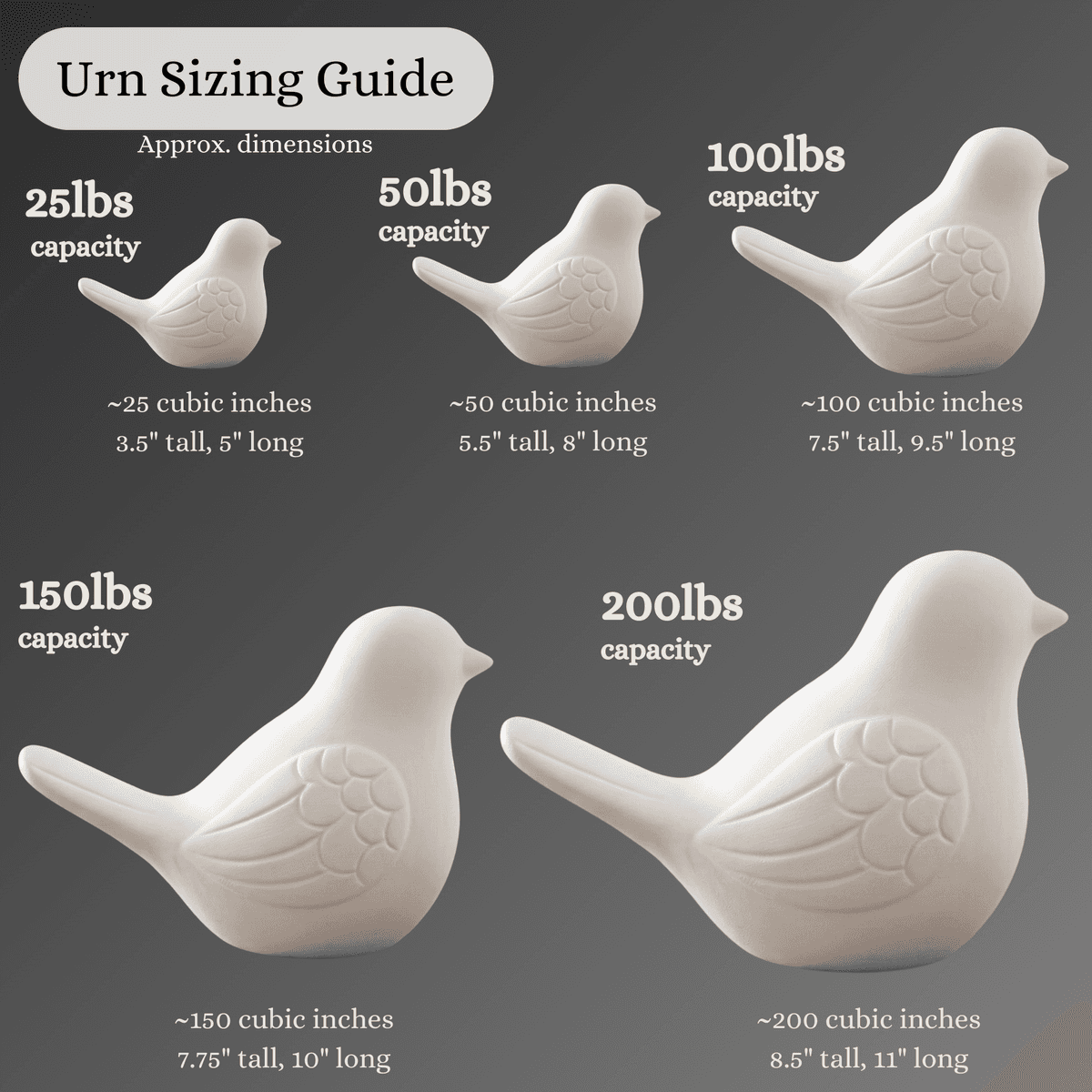 Sizing guide for Large Songbird Cremation Urn